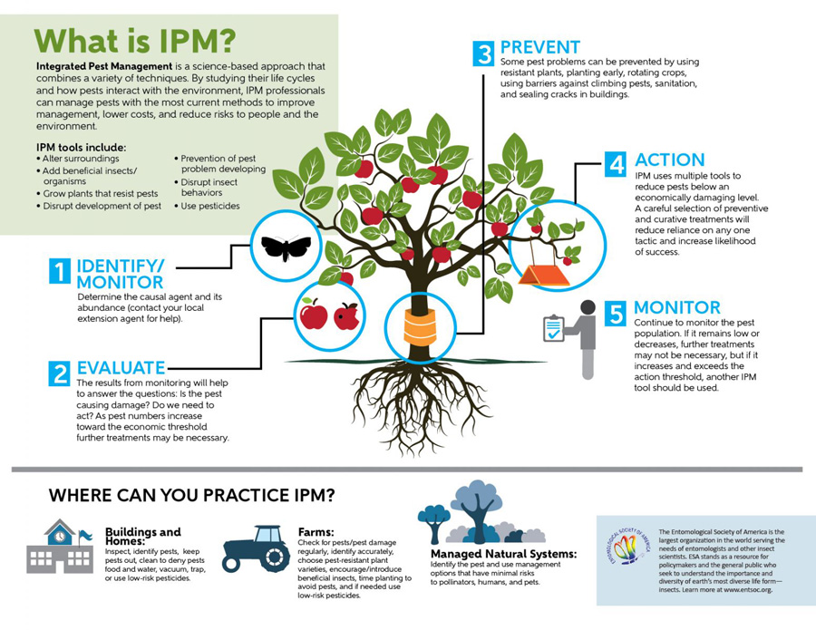 ESA-Factsheet-IPM-resized