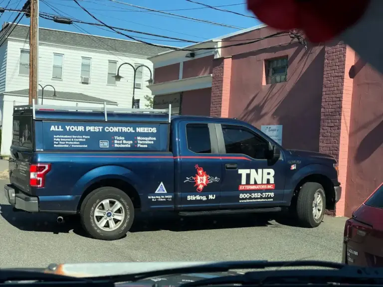TNR Exterminators - TNR Pest Control